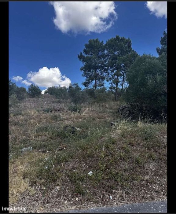 Terreno à Venda no Cardal – Moita do Norte (Vila Nova da Barquinha)