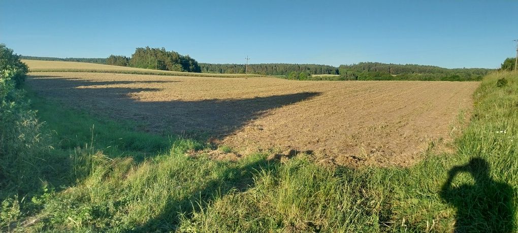 Sprzedam Ziemię rolną