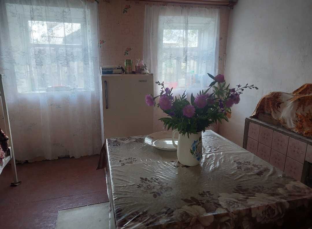 Будинок (дом), ділянка (участок)