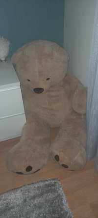 Peluche urso tamanho real