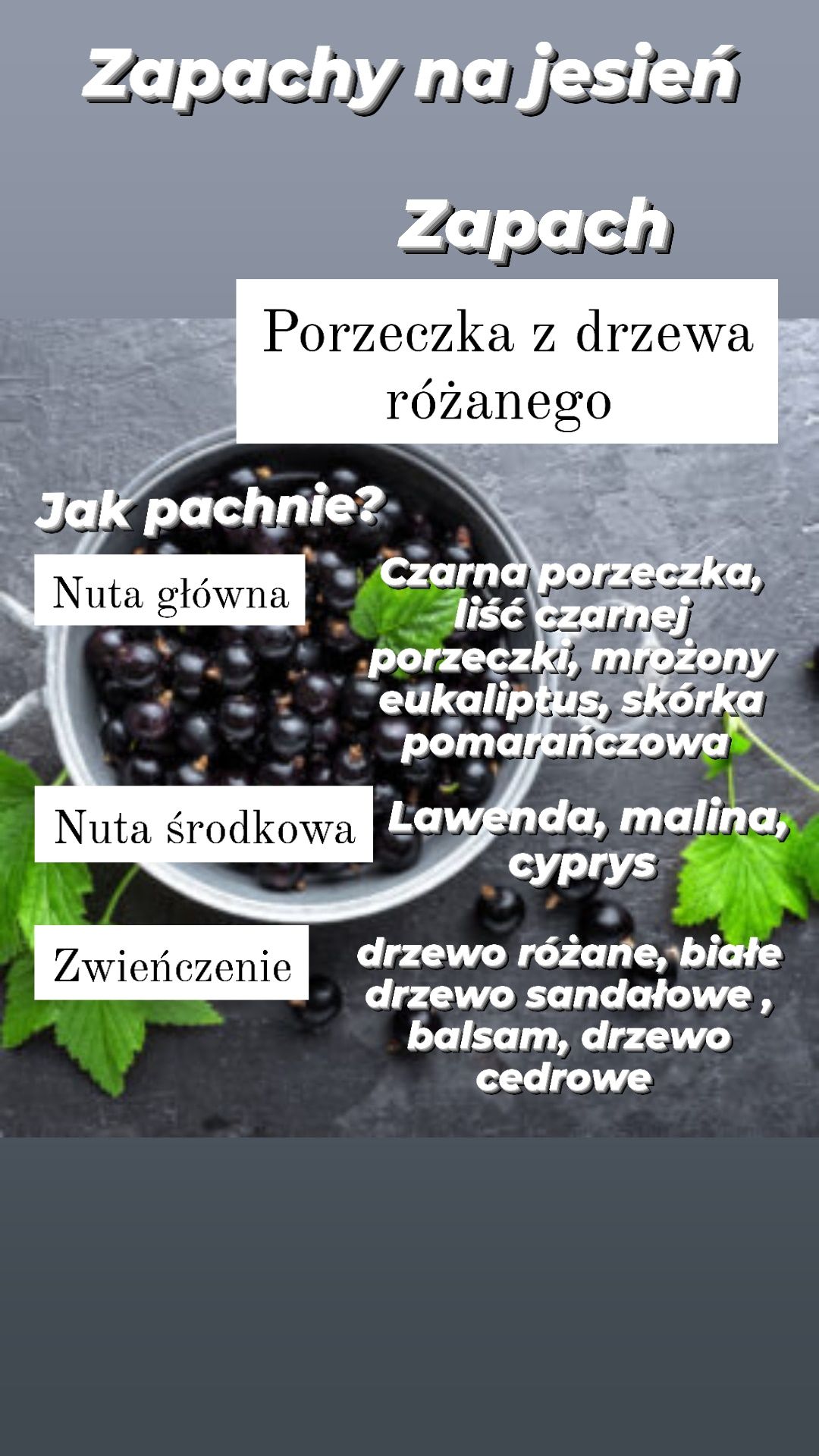 Świeca z wosku sojowego zapach porzeczki z drzewa różanego 270ml