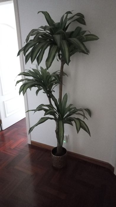 Planta artificial