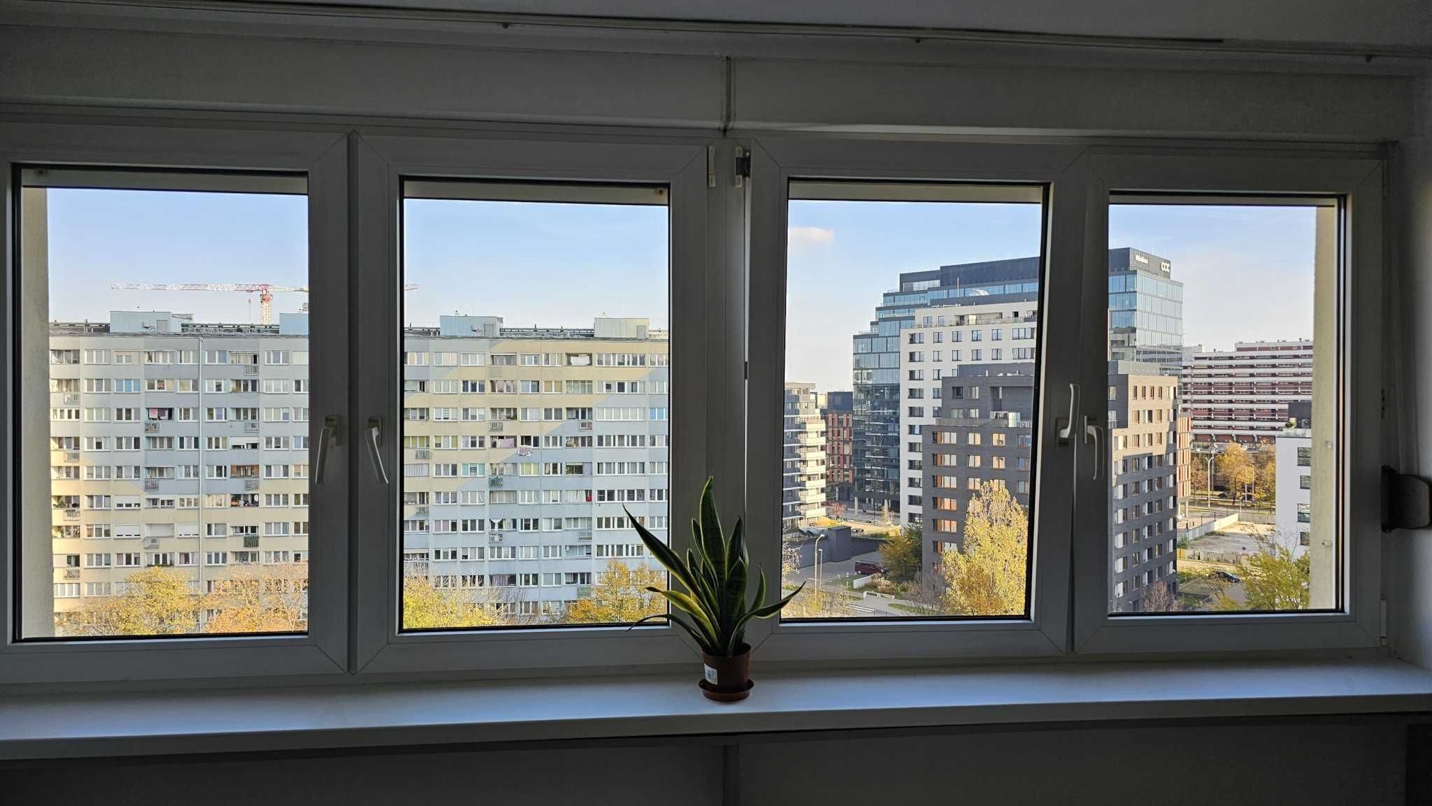Przytulna kawalerka w pobliżu Sky Tower,  bezpośrednio