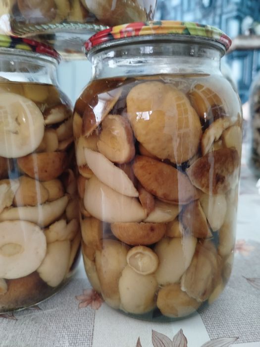 Продам гриби мариновані і сушені