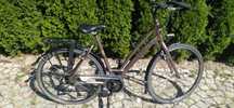 Alu Rower miejski damski Gazelle Chamonix t24 trekking