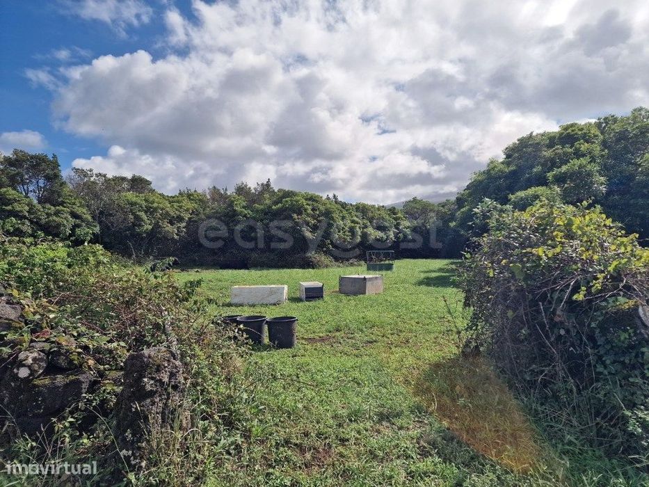 Terreno com vista para a Montanha do Pico na Freguesia das Bandeira...