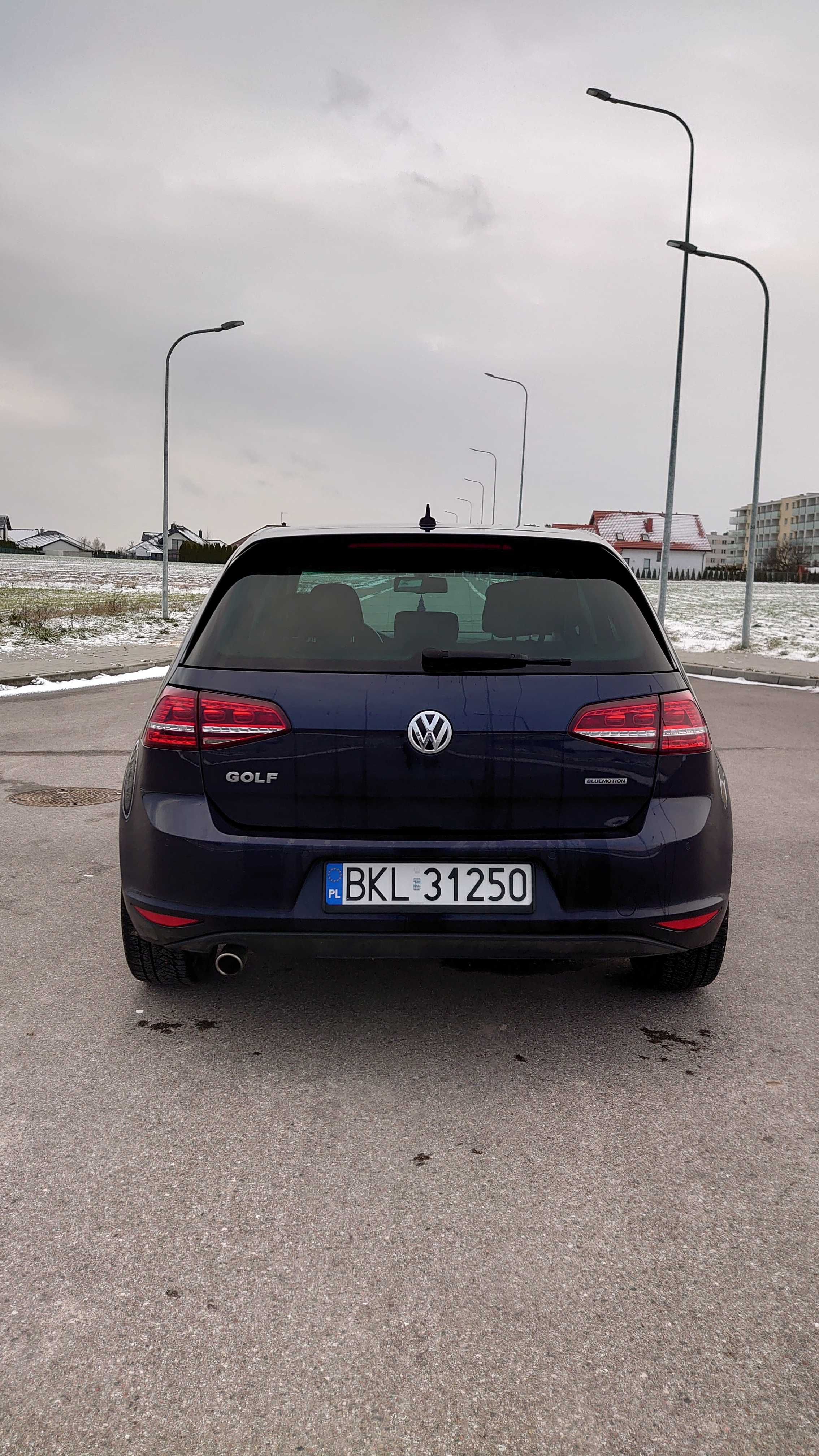 Vw Golf 7 BlueMotion 1,6TDI full opcja stan BDB