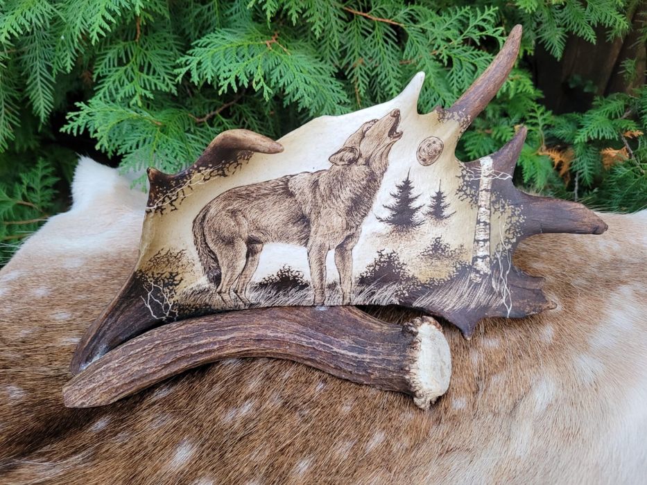 Rzeźba grawer poroże wilk jeleń łoś prezent myślistwo