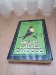 Como é Linda a Puta da Vida
de Miguel Esteves Cardoso