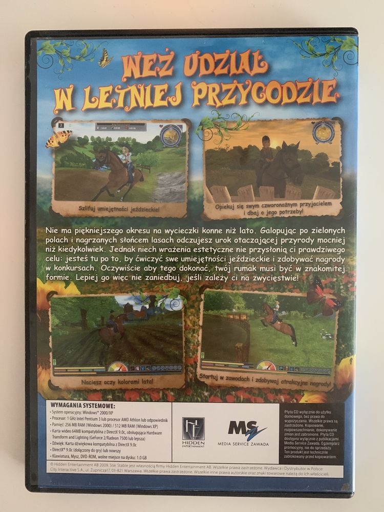 gra komputerowa stania marzeń letnie zawody