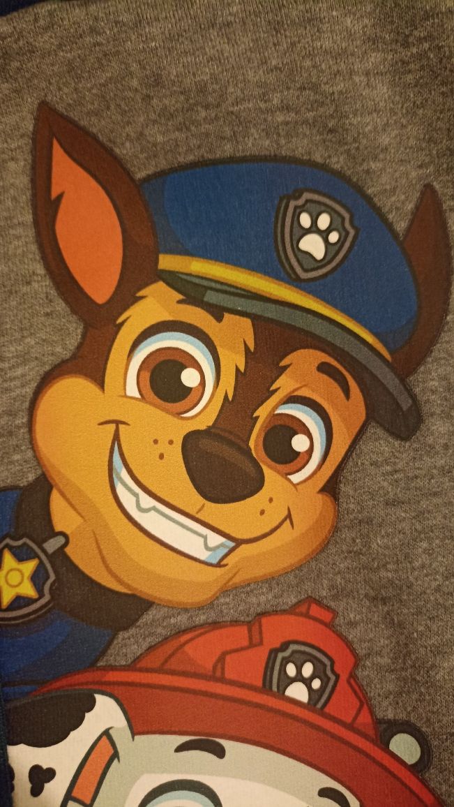 Psi patrol paw patrol bluza z kapturem i kieszeniami 116 cool club