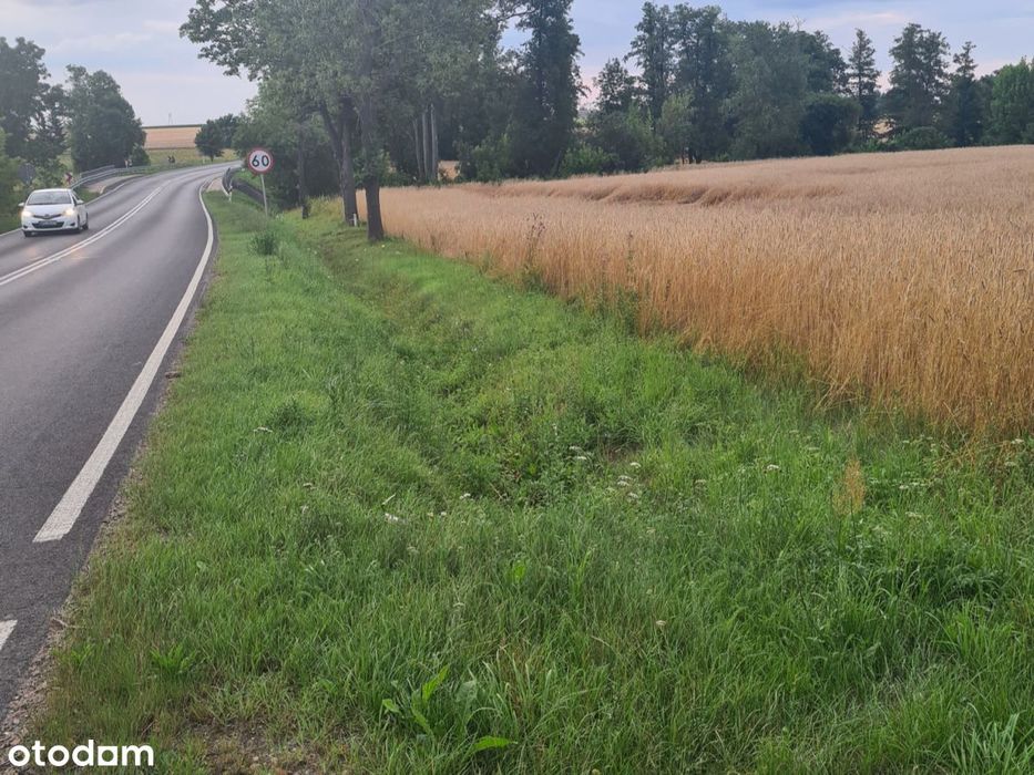 Działka rolna  Kleszewo 1,1ha, warunki zabudowy