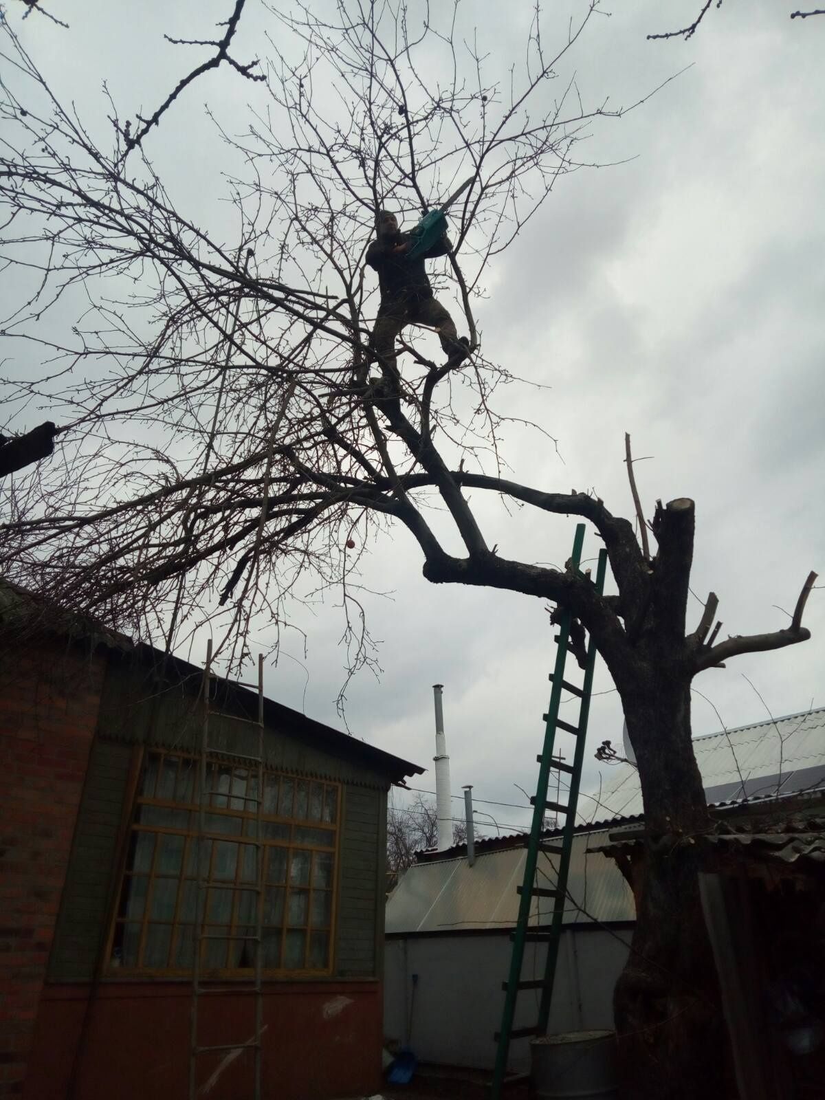 Спил деревьев любой сложности.