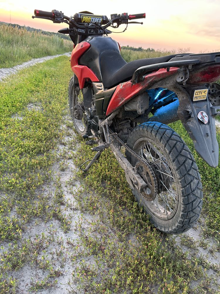 Продам Лонкин прус 200
