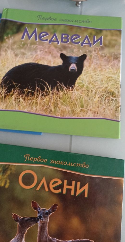Набор книг о животных