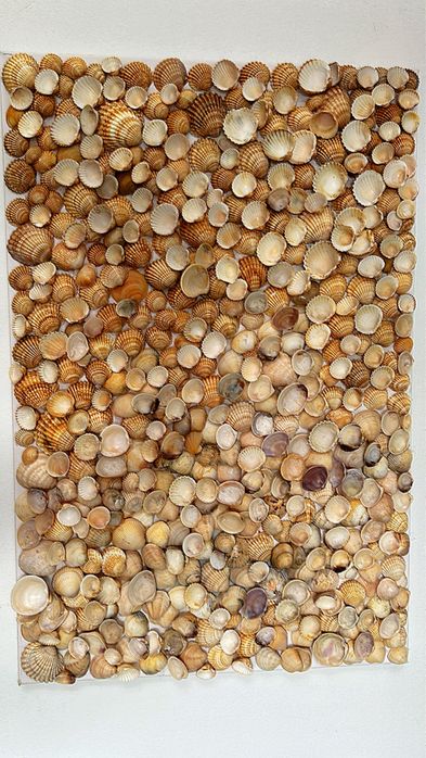 Telas de conchas .Faço sobre encomenda.