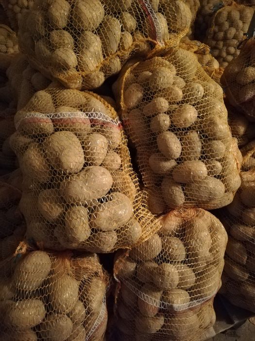 Ziemniaki z uprawy własnej