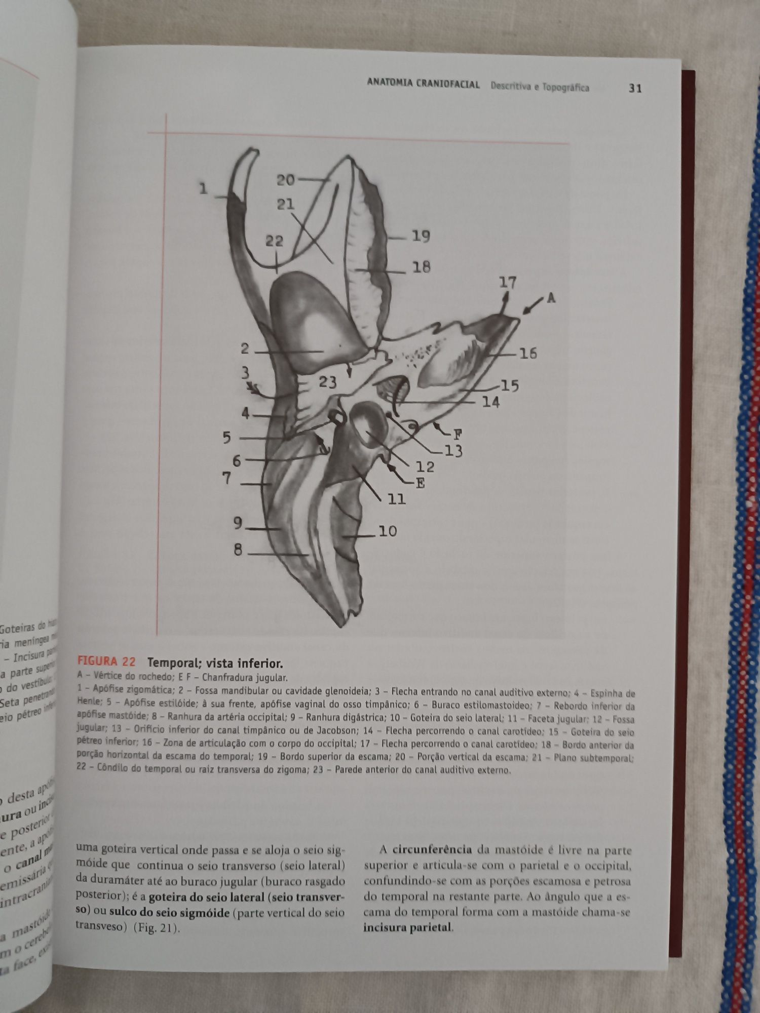 Livro "Anatomia Craniofacial, Descritiva e Topográfica"