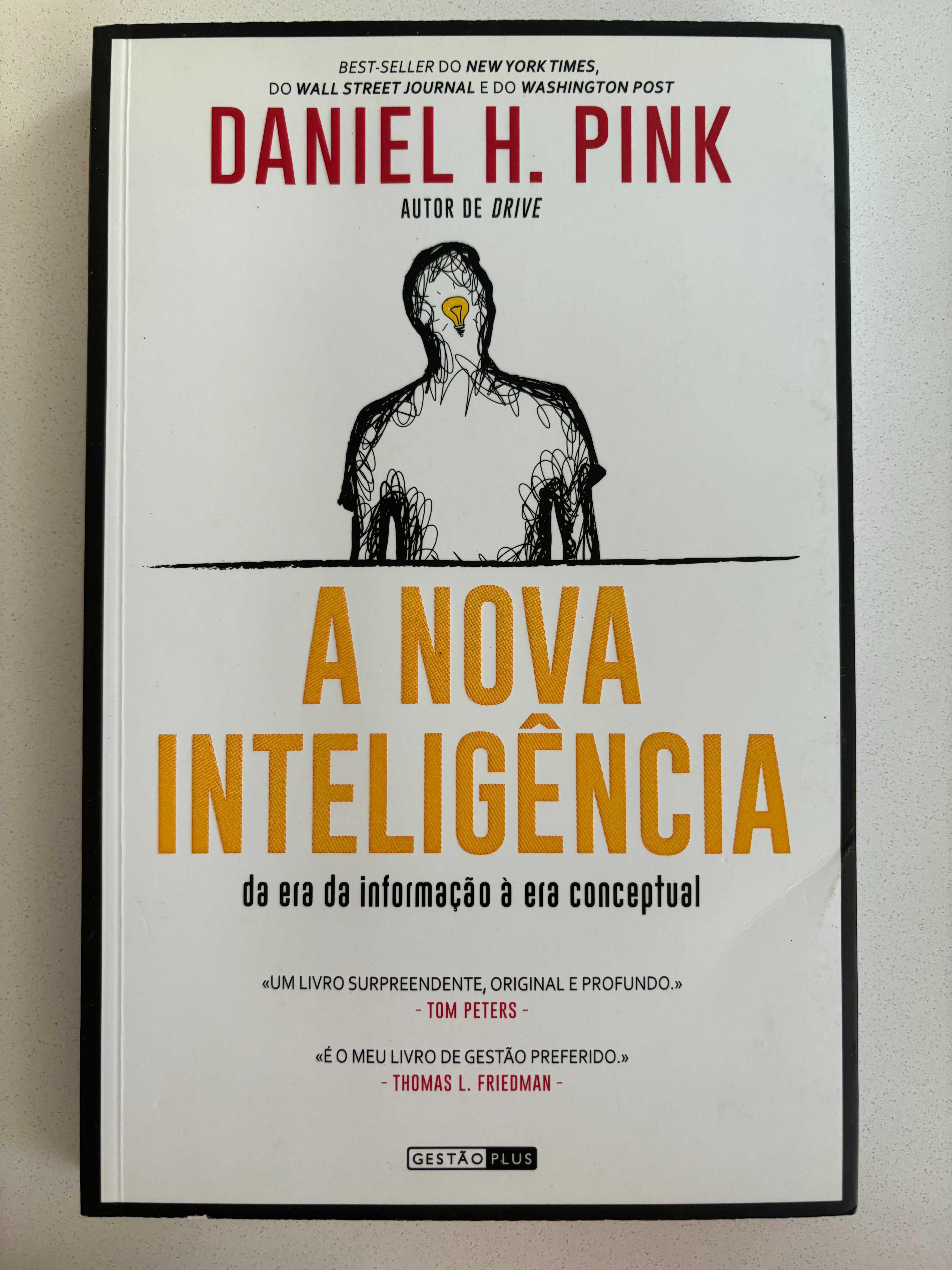A Nova Inteligência de Daniel H. Pink - Livro