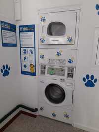 Abra o seu negócio Inovador, Self-Service Dog-Wash