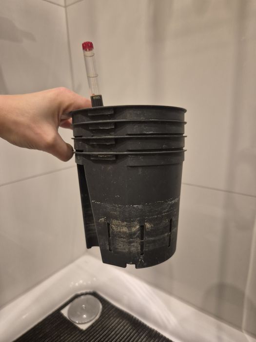 Wkłady do hydroponiki 13/12