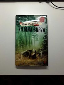 Książka Ziemna Burza - Mons Kallentoff