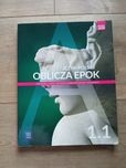 Oblicza epok Język polski 1.1