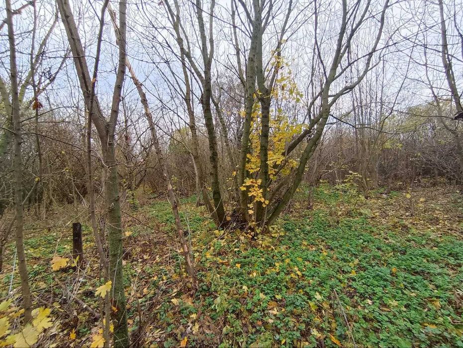 Продам Дом-Участок 25сот с. Просяное. Асфальт к Дому