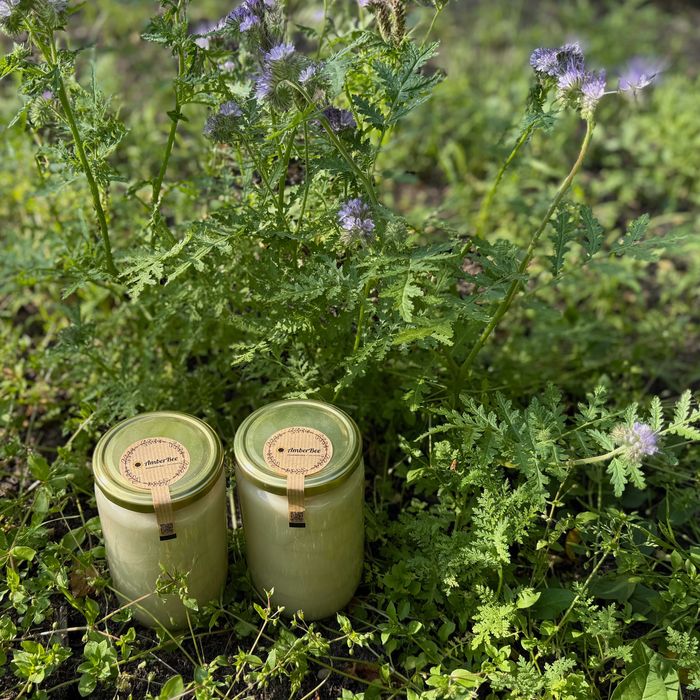 Ріпаковий мед кремовий