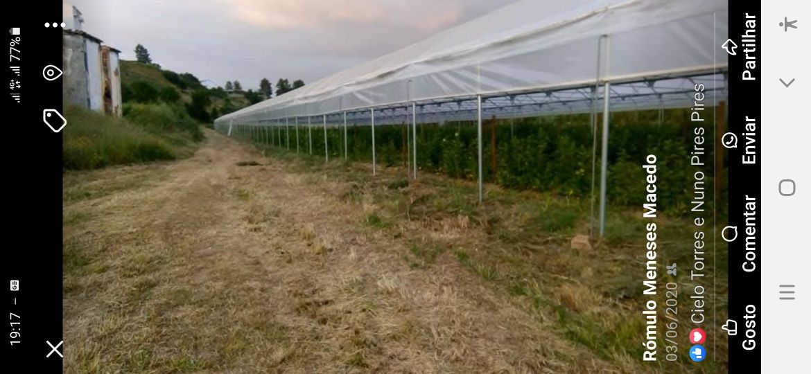 Estufas agrícolas