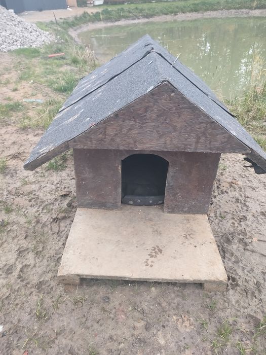 Oddam budę dla psa za DARMO