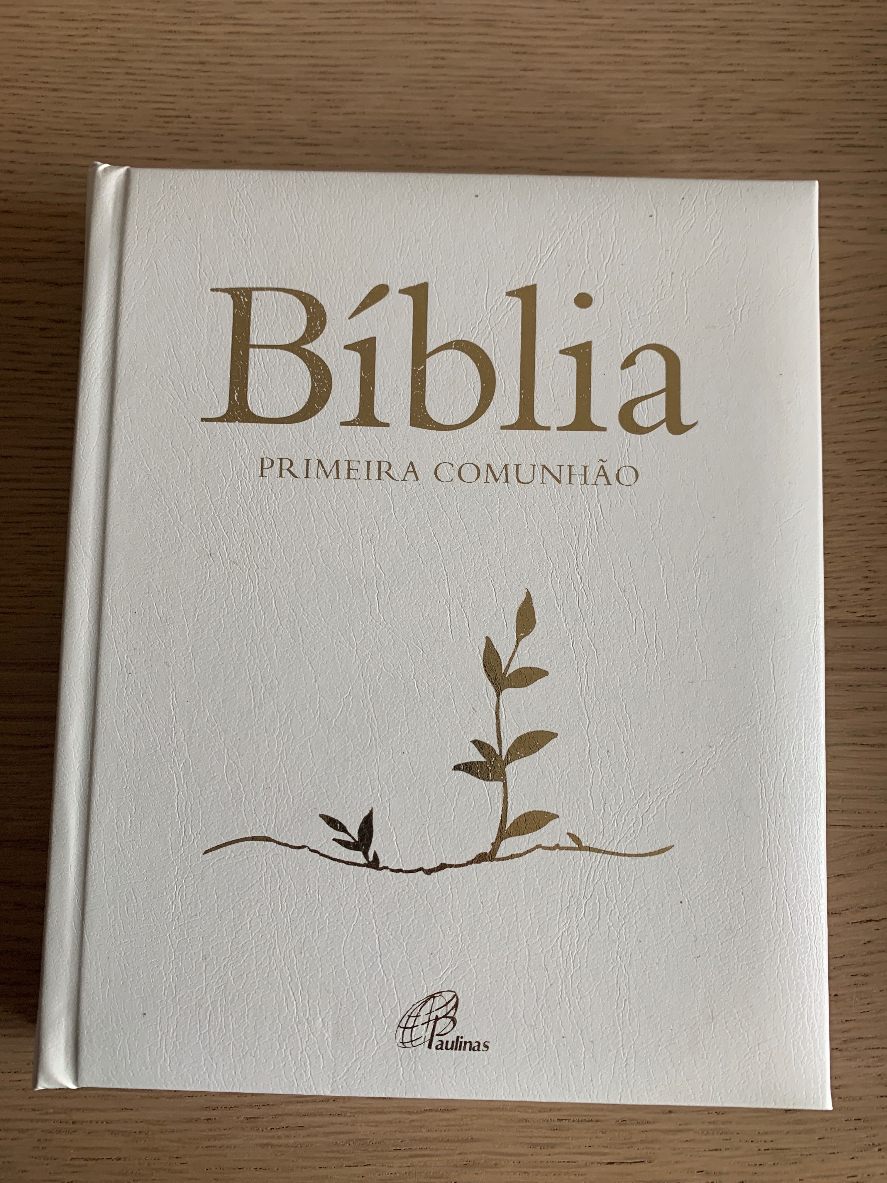 Bíblia primeira comunhão
