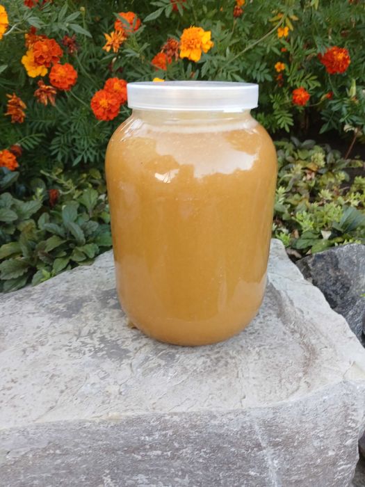 мед, весняного різнотрав'я