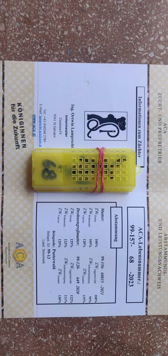 Плідна бджоломатка карніка F 1