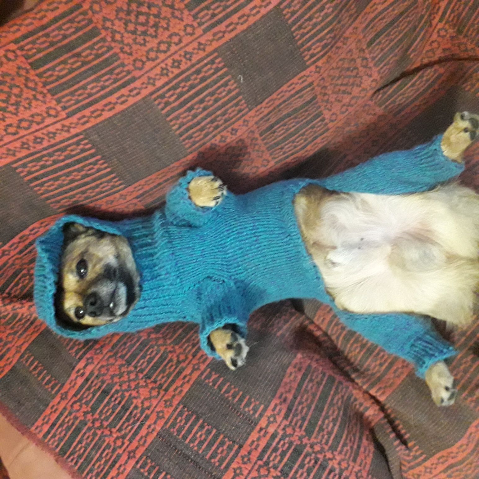 Комбинезон для  собак,  вязаные свитера для собак и кошек