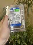 Жорсткий диск HDD Western Digital Blue 500GB