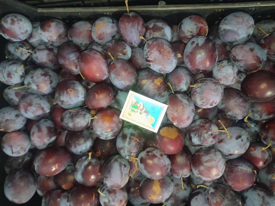 Охолоджена слива гуртом – Президент