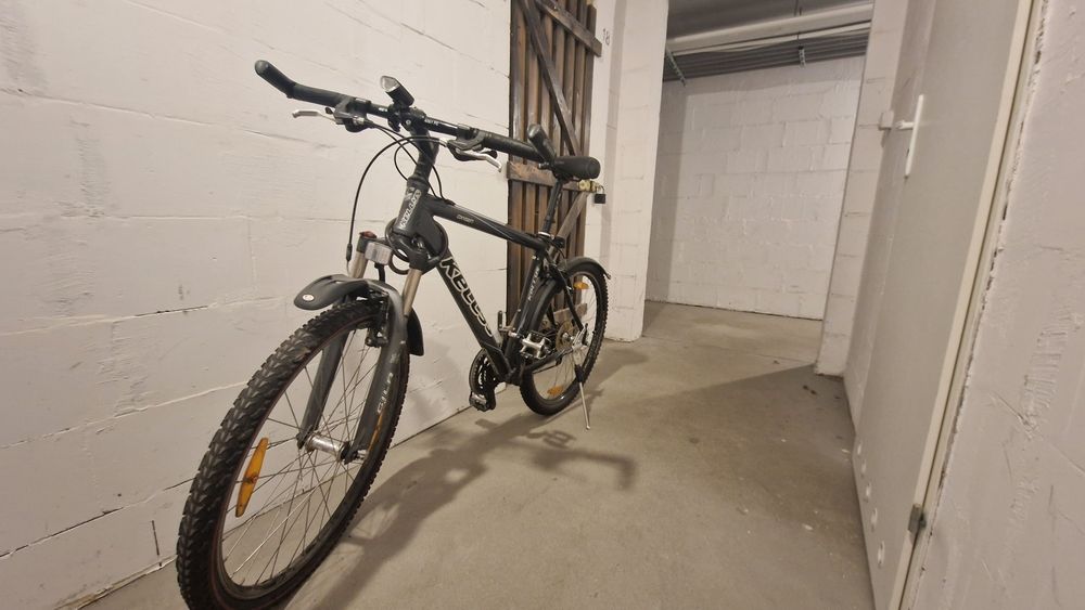 Rower Kellys używany