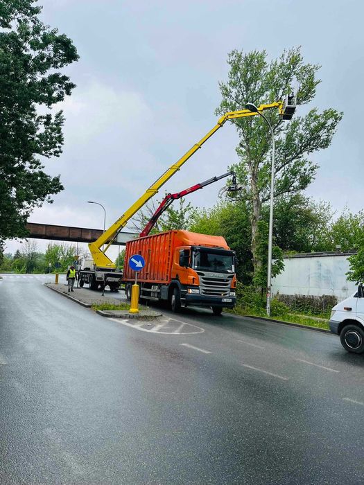 Wycinanie drzew, frezowanie pni, podnośnik koszowy, czyszczenie działe