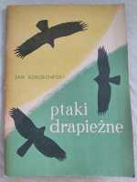 Ptaki Drapieżne - Jan Sokołowski