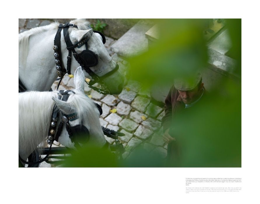 Fotografias decorativas - Portugal