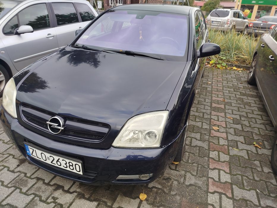 Opel Signum za 2500 zł