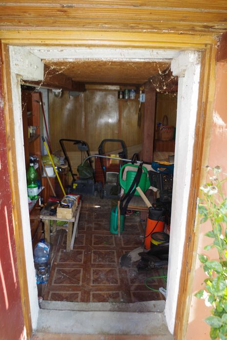 Działka Jamno ROD "Kwitnących jabłoni" z dużym potencjałem