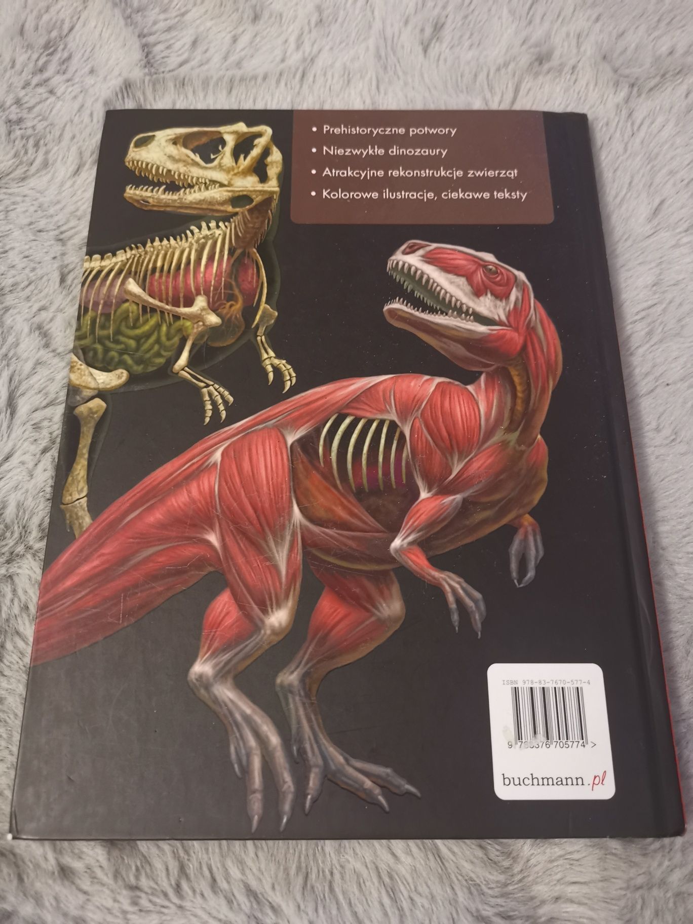 Groźne dinozaury i zwierzęta prehistoryczne encyklopedia ilustrowana