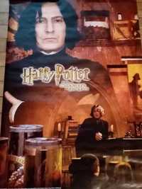duży plakat Harry Potter Komnata tajemnic Snape