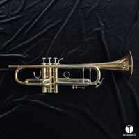 Trąbka Bach Stradivarius 25 goldbrass bell ustnik futerał GAMONBRASS