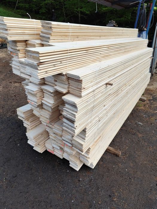 Boazeria świerkowa i modrzewiowa