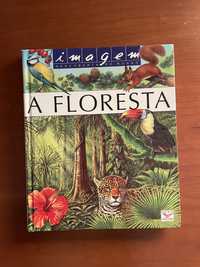 A Floresta - Imagem