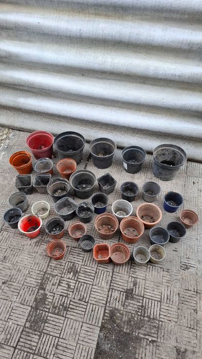 Продам горшки под рассаду или на укоренение