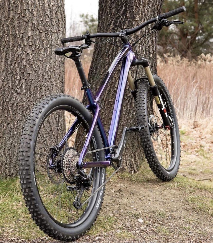 Dartmoor Primal (Hornet) 2022 Nowy!